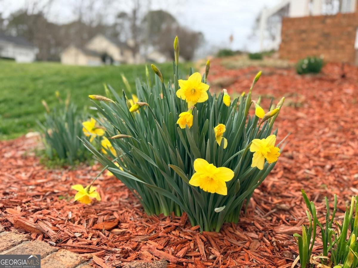 2001 Two Springs Way Lawrenceville - Photo 30