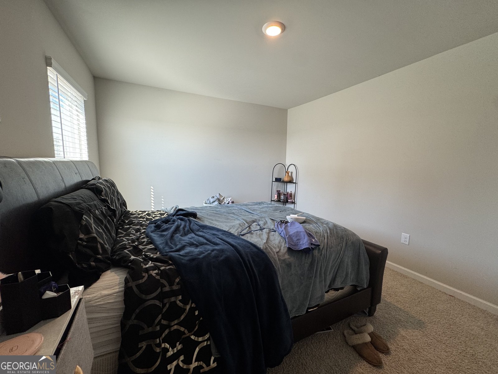 573 Chelan Ct Hoschton - Photo 20