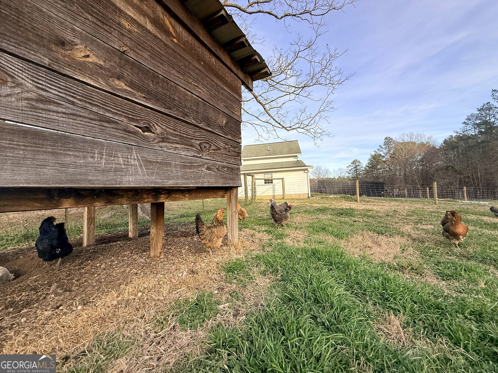 2973 River Road Elberton - Photo 129