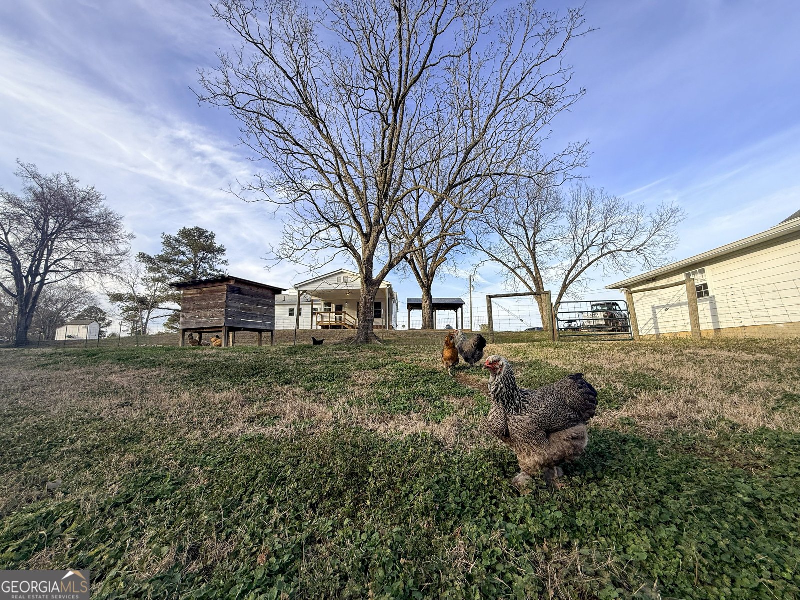 2973 River Road Elberton - Photo 130