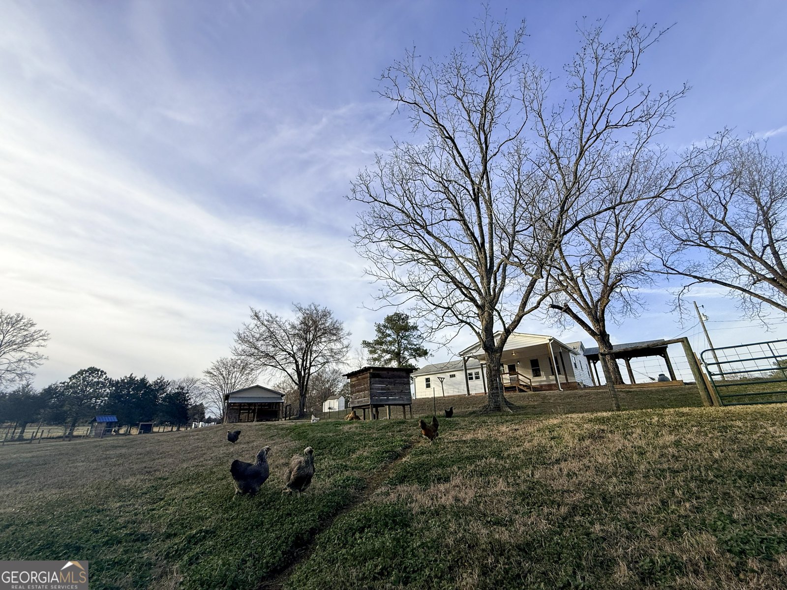 2973 River Road Elberton - Photo 131