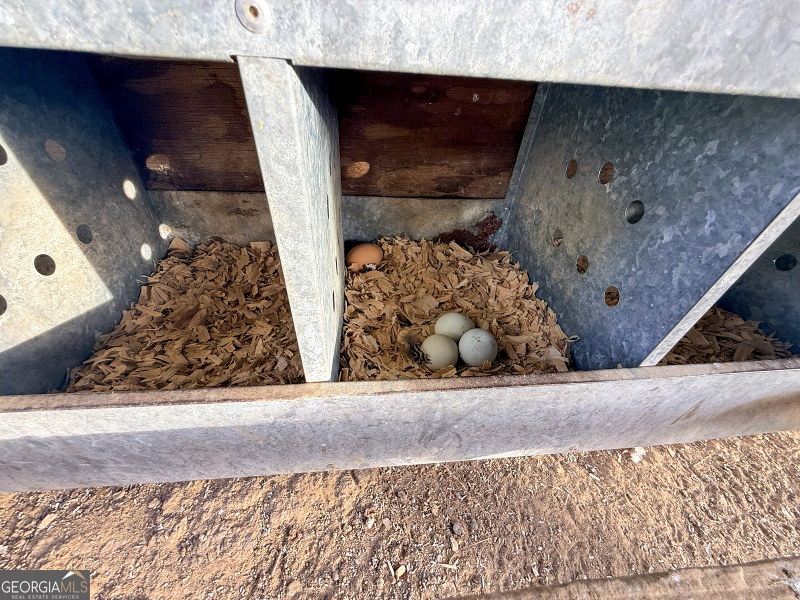 2973 River Road Elberton - Photo 142