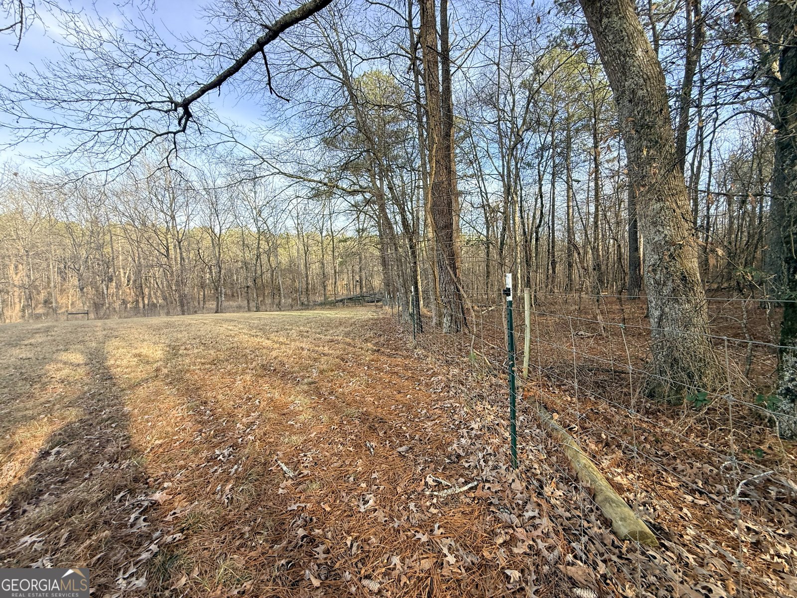 2973 River Road Elberton - Photo 179