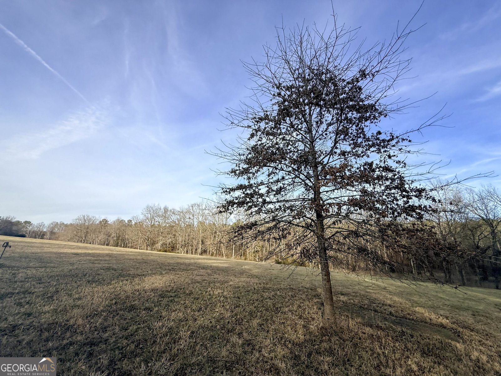 2973 River Road Elberton - Photo 180