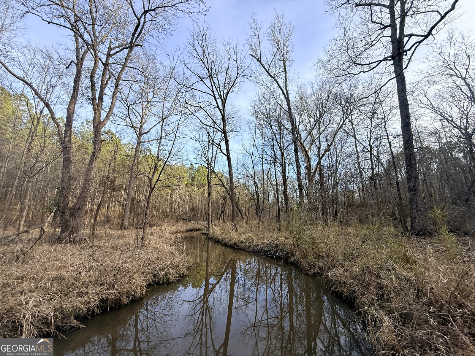 2973 River Road Elberton - Photo 182