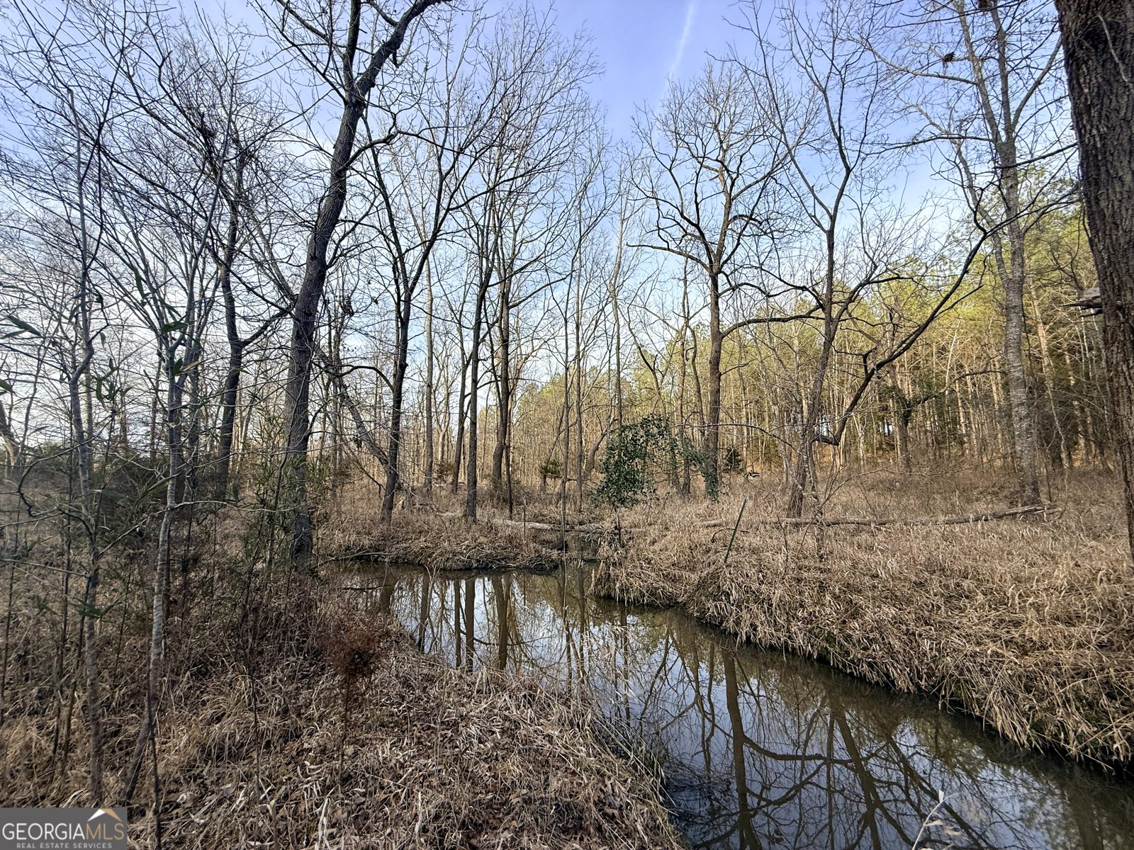 2973 River Road Elberton - Photo 183