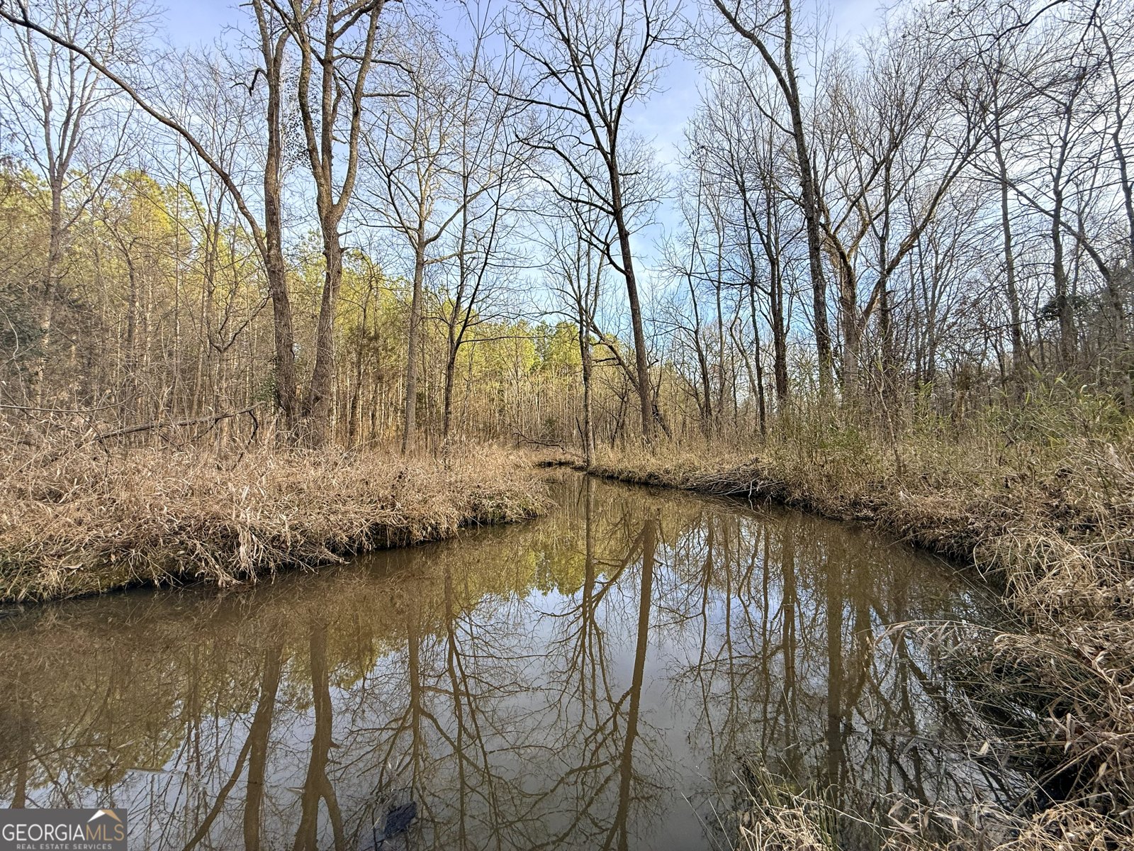 2973 River Road Elberton - Photo 184