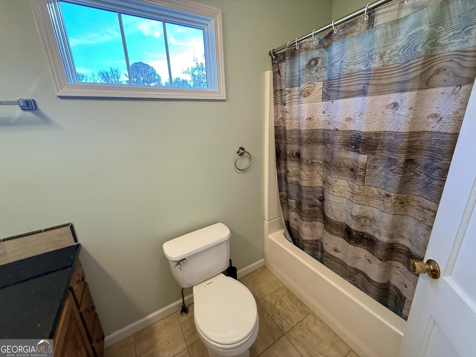 2973 River Road Elberton - Photo 28