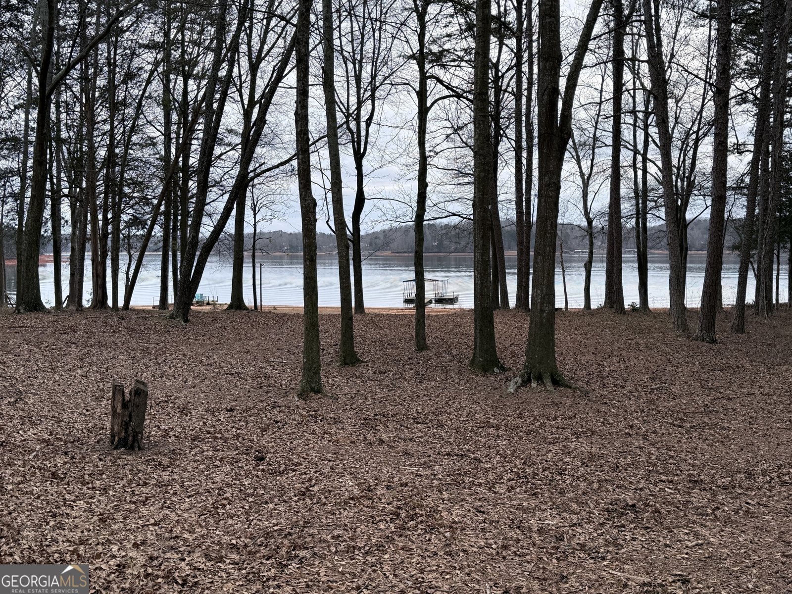 931 Shelor Ferry Road Fair Plat - Photo 24