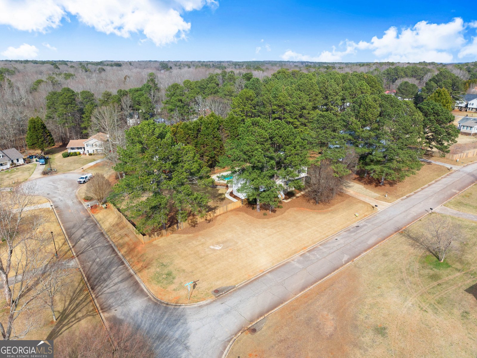 925 Alexander Hamilton Drive McDonough - Photo 46