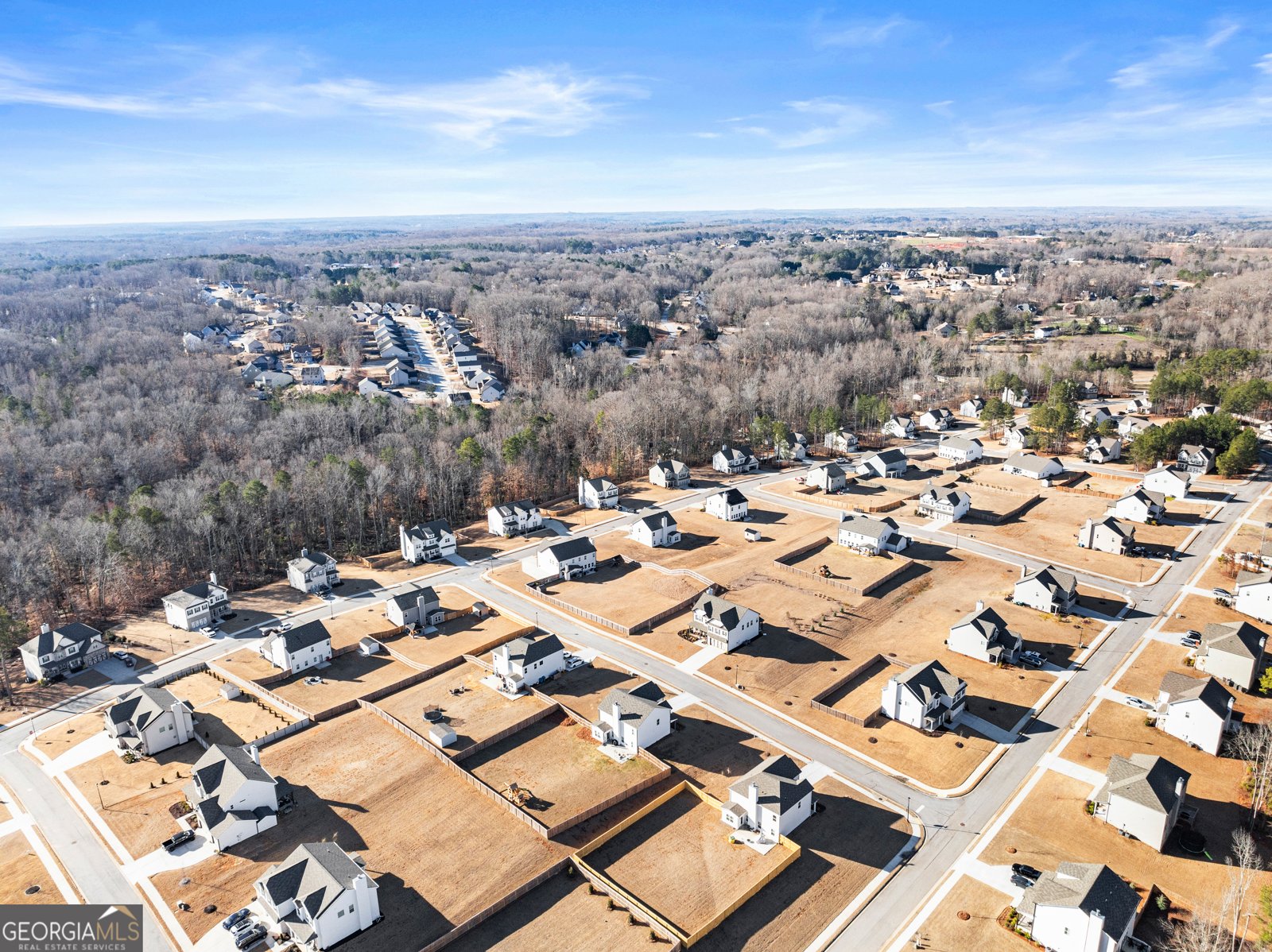 1230 Homeward Trail Hoschton - Photo 55