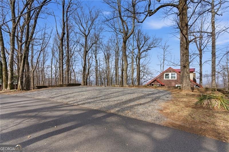 1665 Walnut Ridge Ellijay - Photo 37