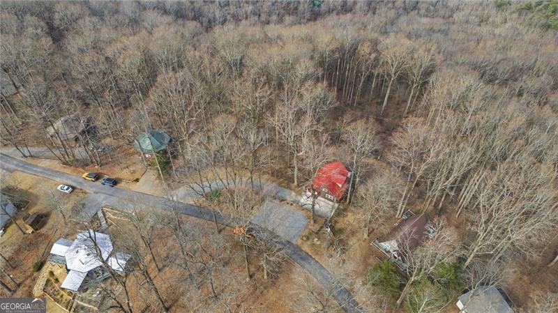 1665 Walnut Ridge Ellijay - Photo 41