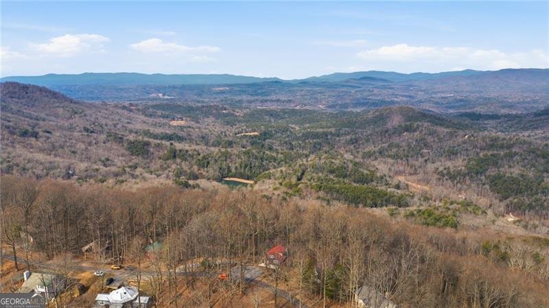 1665 Walnut Ridge Ellijay - Photo 43