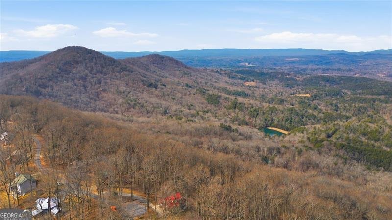 1665 Walnut Ridge Ellijay - Photo 45