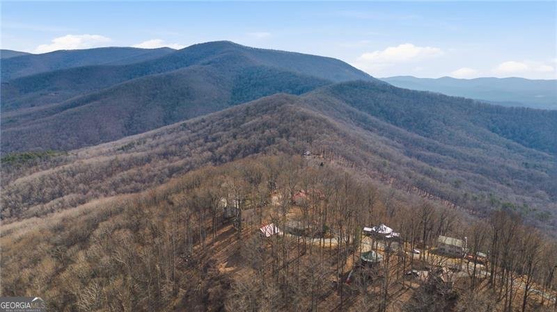 1665 Walnut Ridge Ellijay - Photo 46