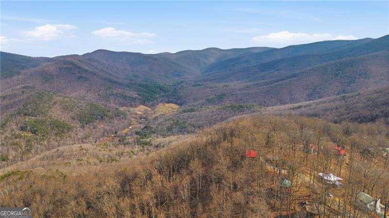 1665 Walnut Ridge Ellijay - Photo 47