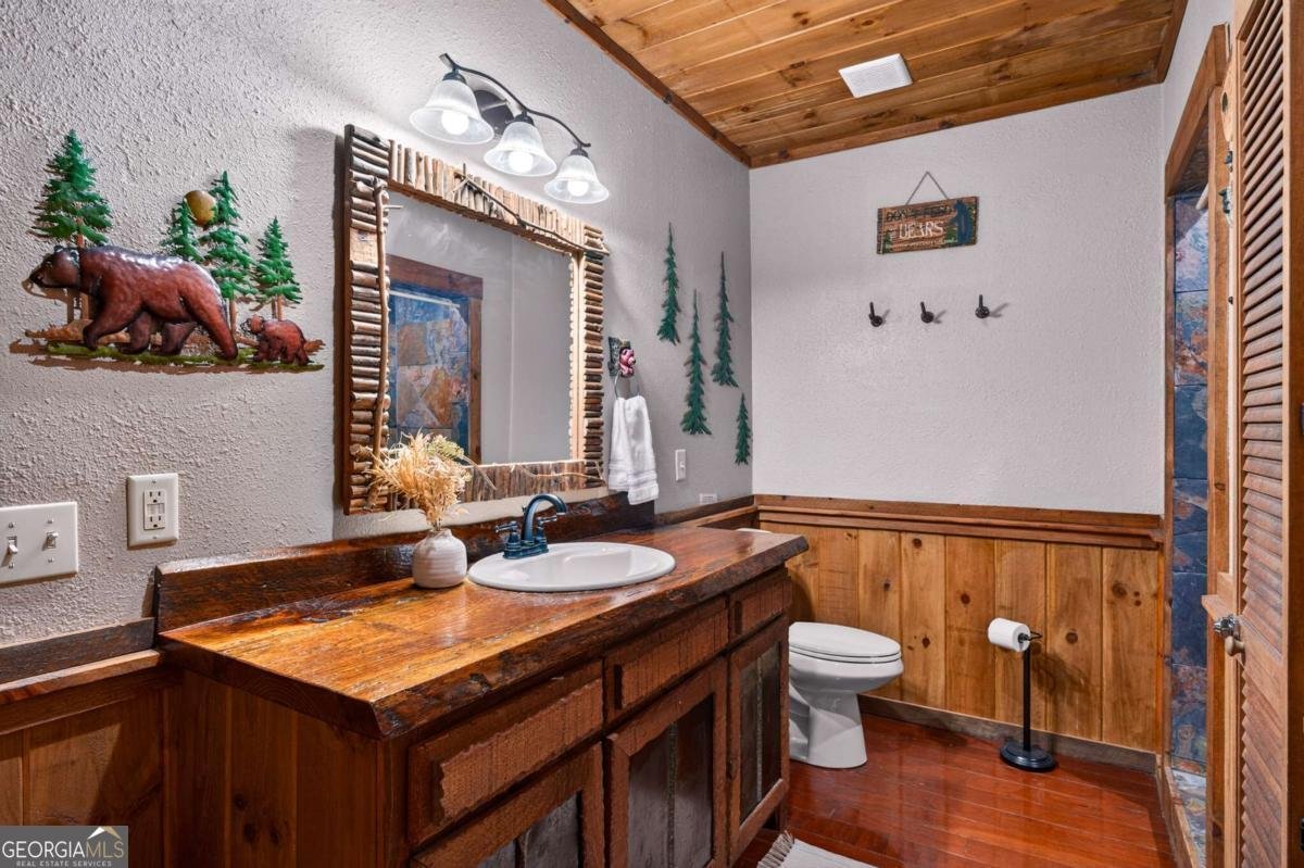 40 Adelaide Trail Blue Ridge - Photo 27