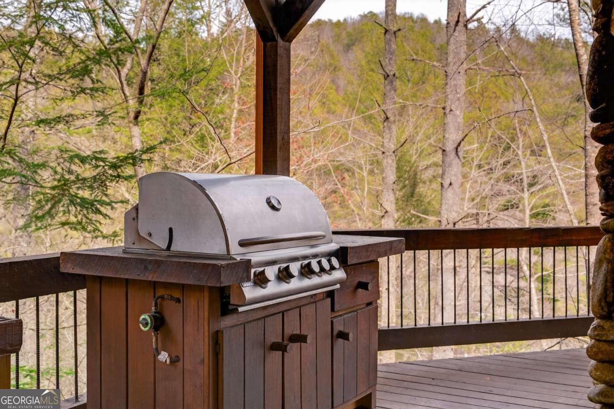 40 Adelaide Trail Blue Ridge - Photo 9