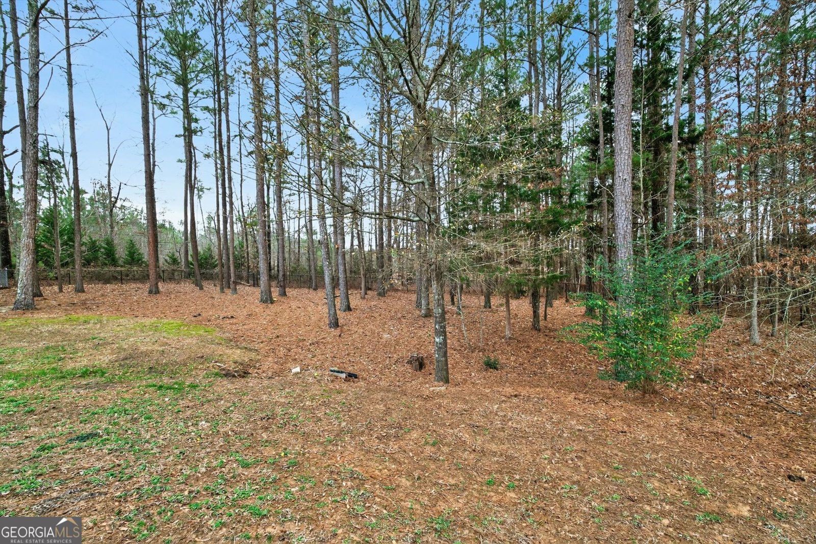 10 Susanne Court Rome - Photo 49