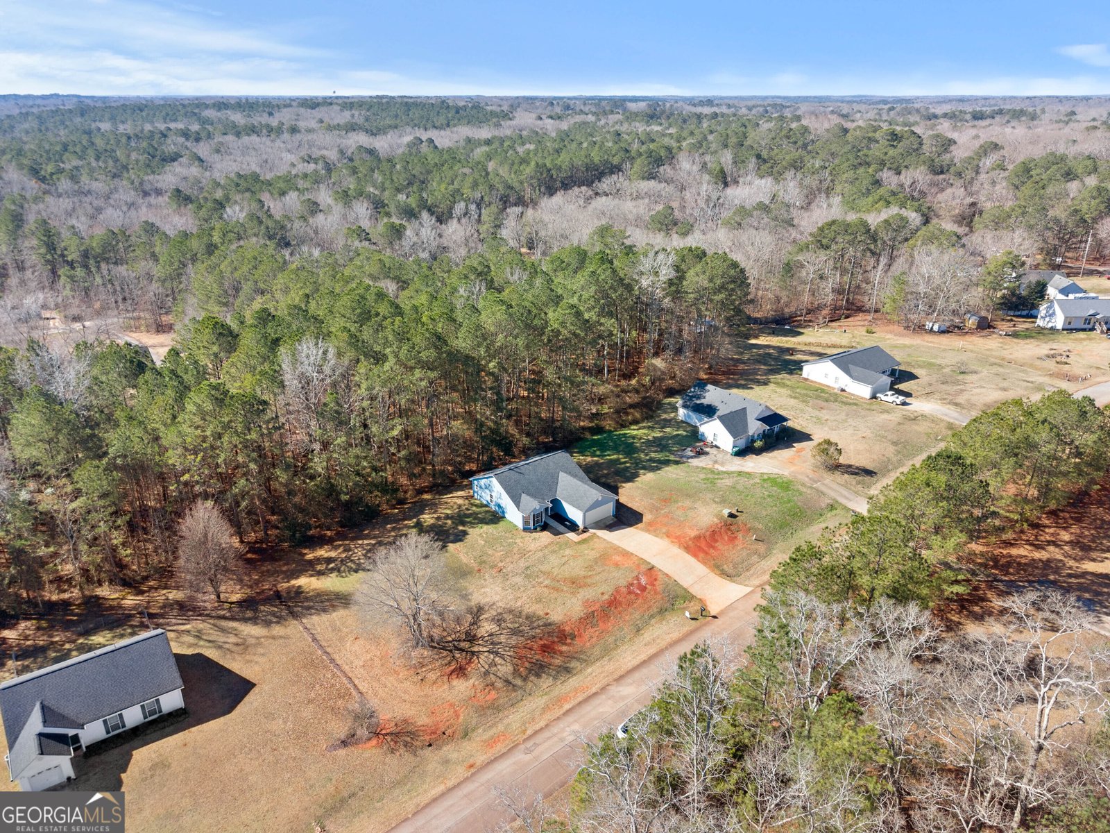 83 Sydney Woods Drive Forsyth - Photo 28