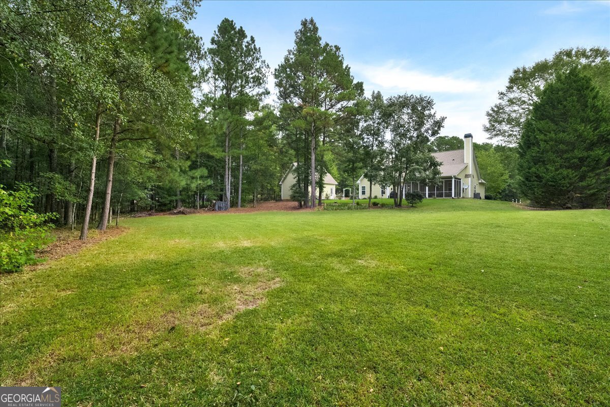 211 Willow Bend Way Senoia - Photo 39