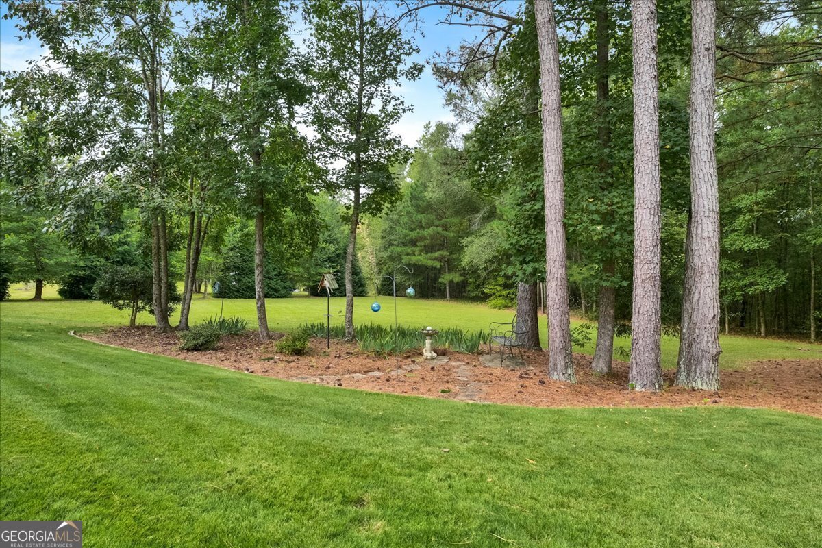 211 Willow Bend Way Senoia - Photo 40