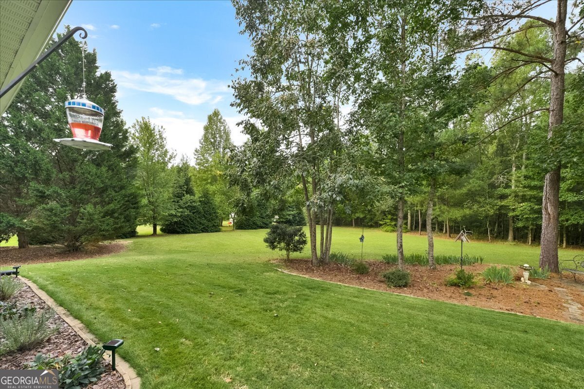 211 Willow Bend Way Senoia - Photo 41