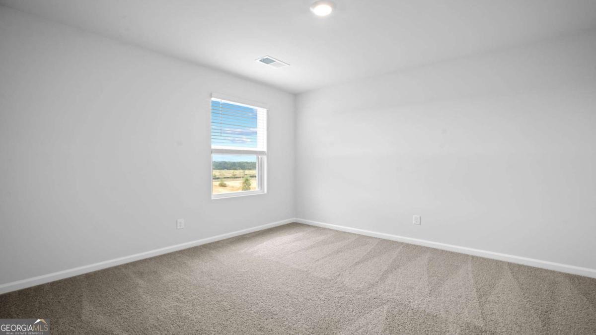 311 Flax Street Statesboro - Photo 39
