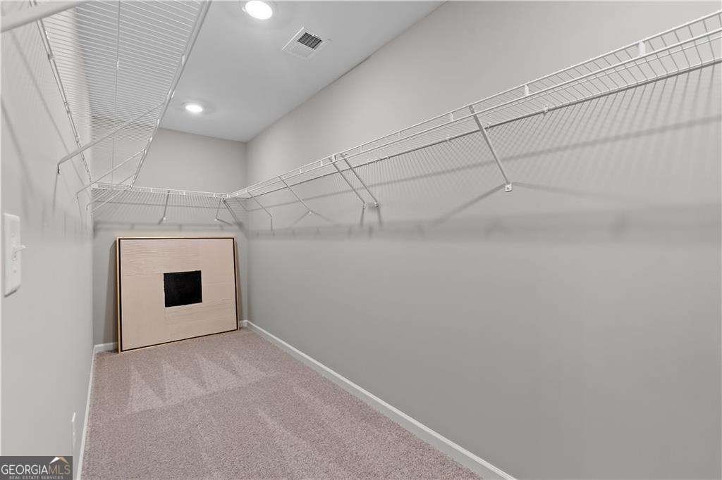 229 Ruthe Cove Locust Grove - Photo 50