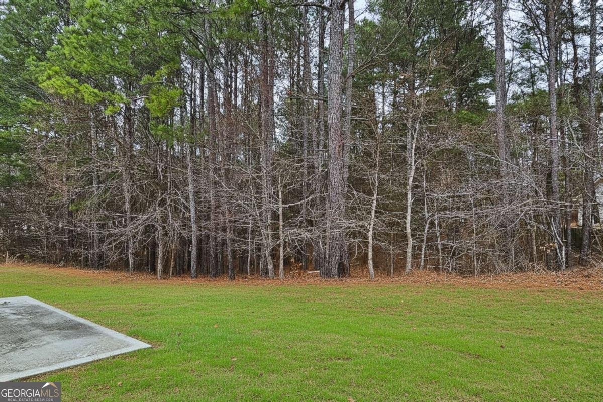 35 Ivey Township Drive Dallas - Photo 28