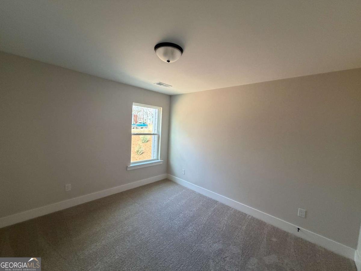 42 Trace Bluff Dawsonville - Photo 10