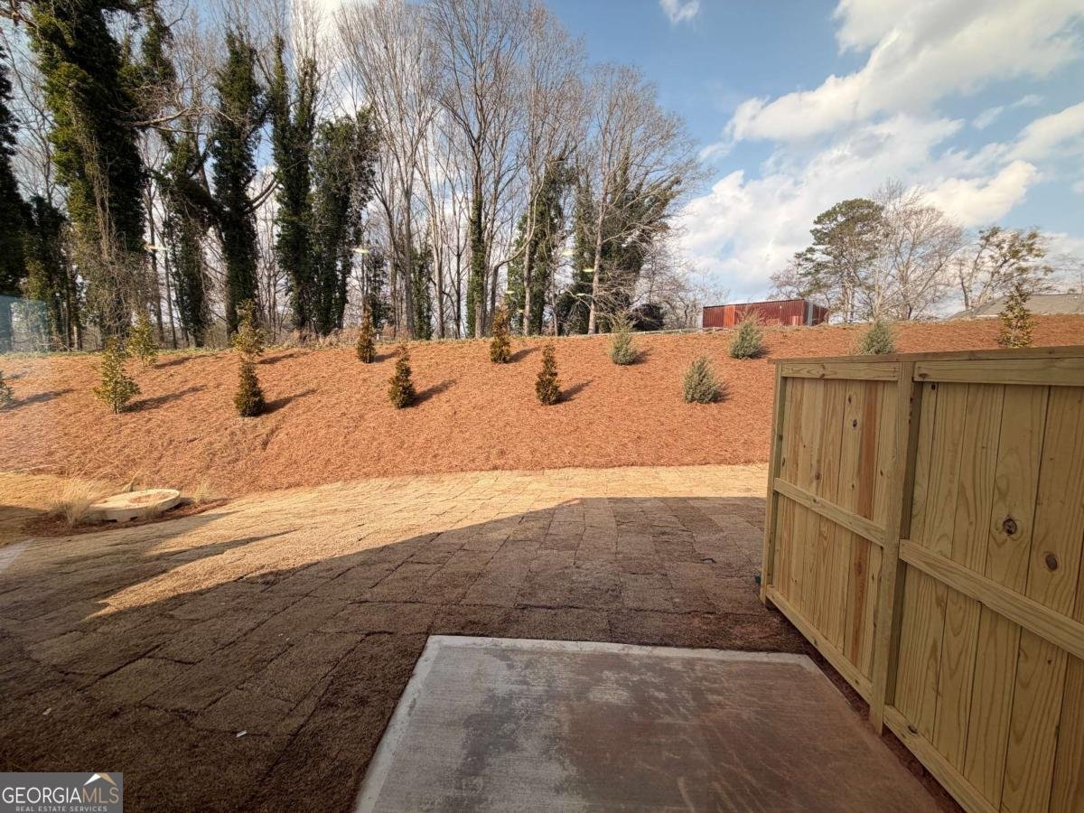 42 Trace Bluff Dawsonville - Photo 11