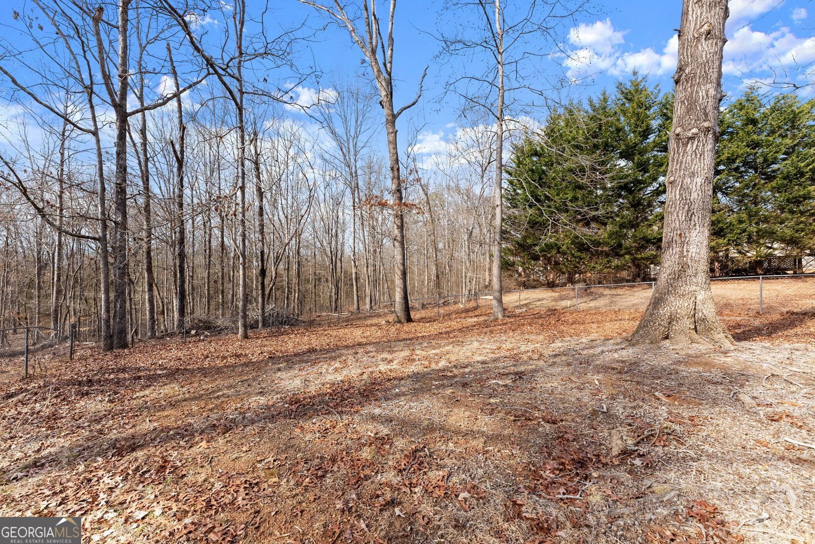 5805 Shadow Oaks Drive Murrayville - Photo 27