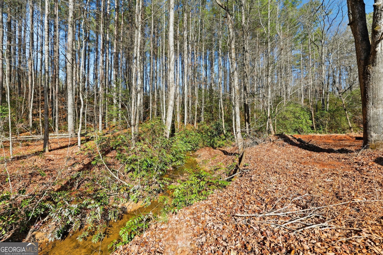 416 Liberty Creek Drive Clarkesville - Photo 43