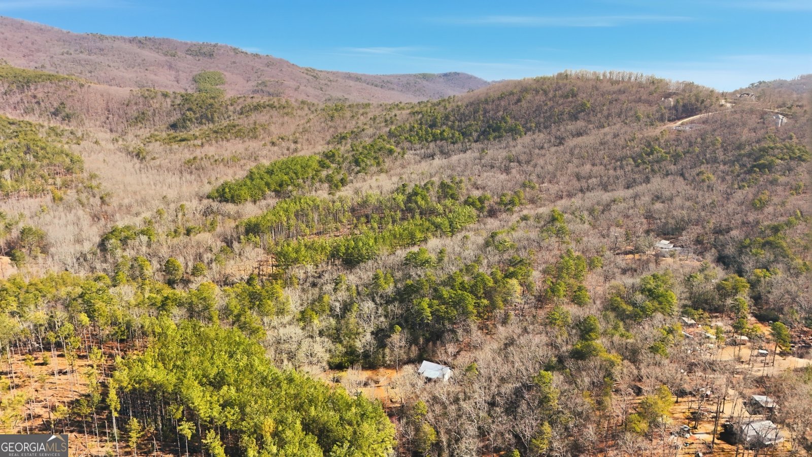 416 Liberty Creek Drive Clarkesville - Photo 53