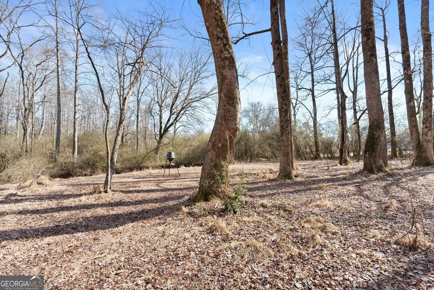 6998 Britt Gailey Road Clermont - Photo 79