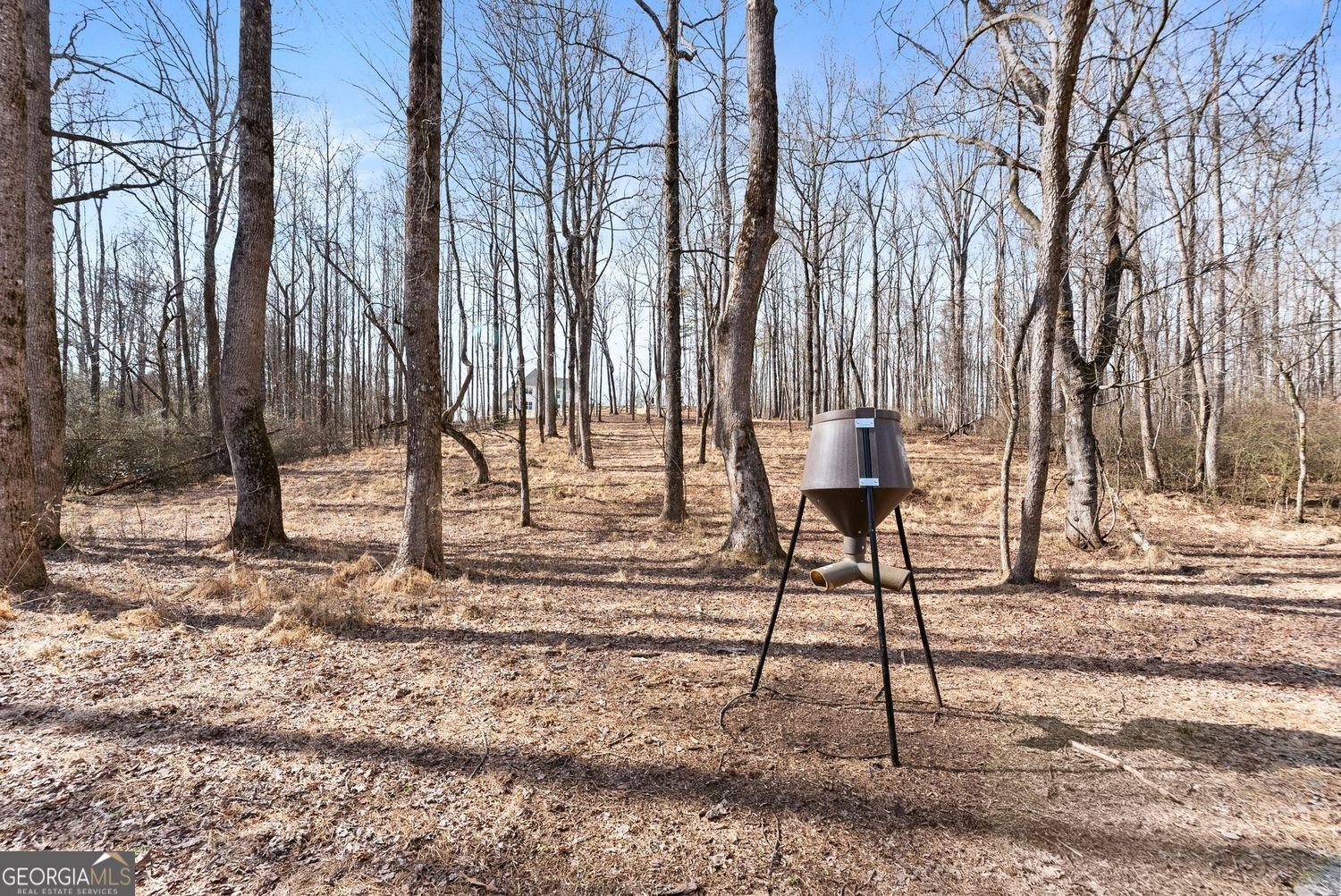 6998 Britt Gailey Road Clermont - Photo 80