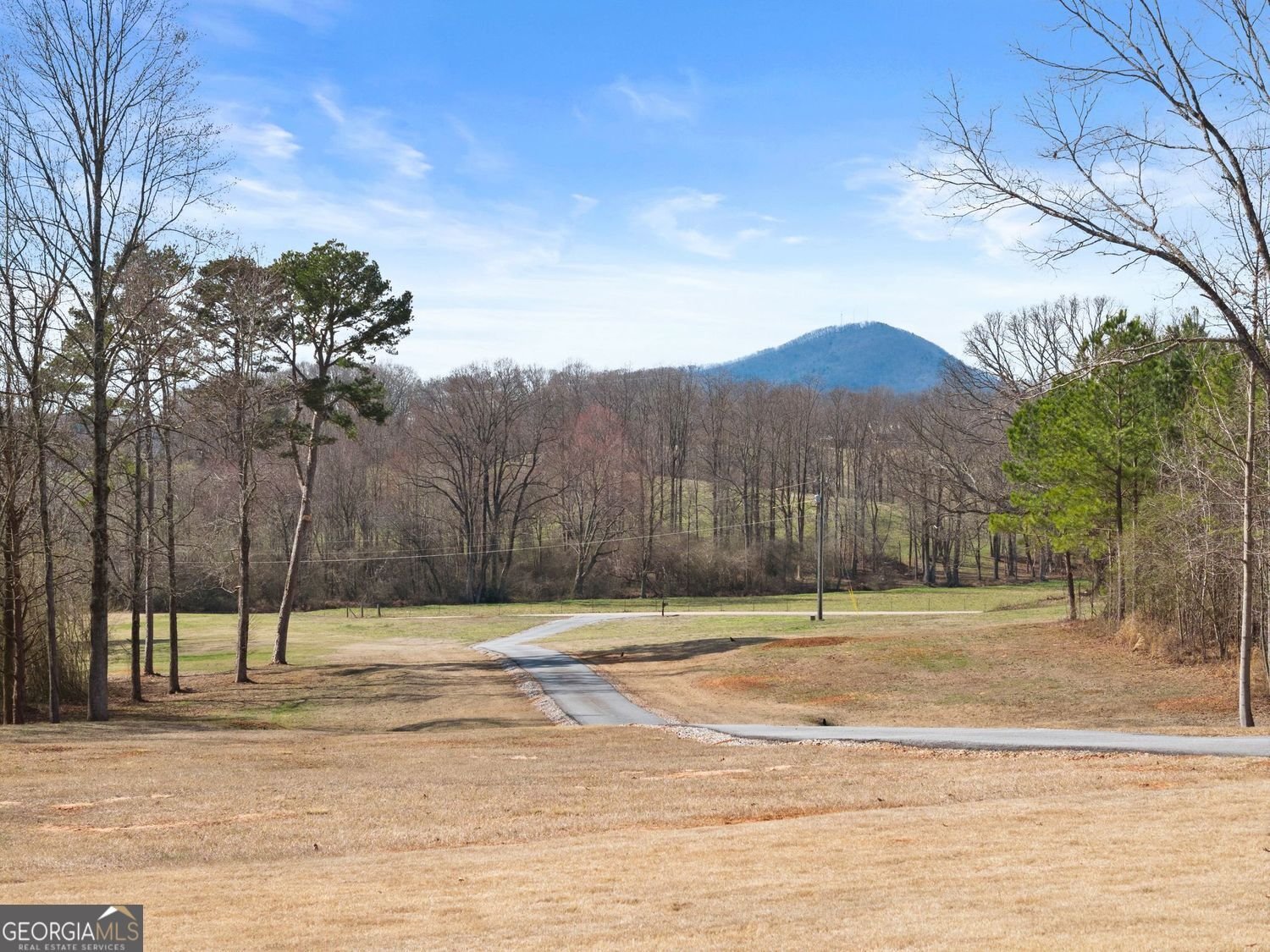 6998 Britt Gailey Road Clermont - Photo 84