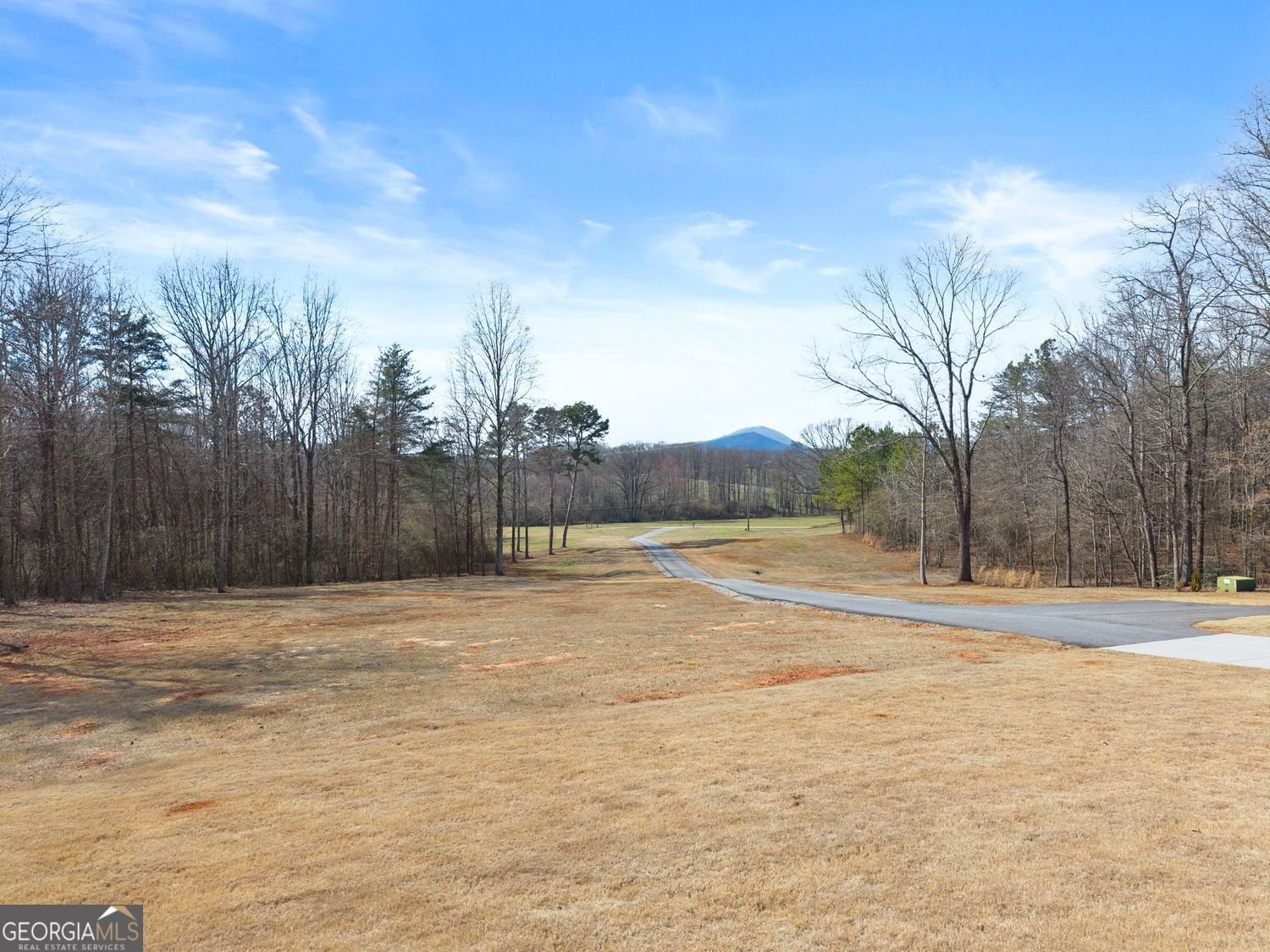 6998 Britt Gailey Road Clermont - Photo 99