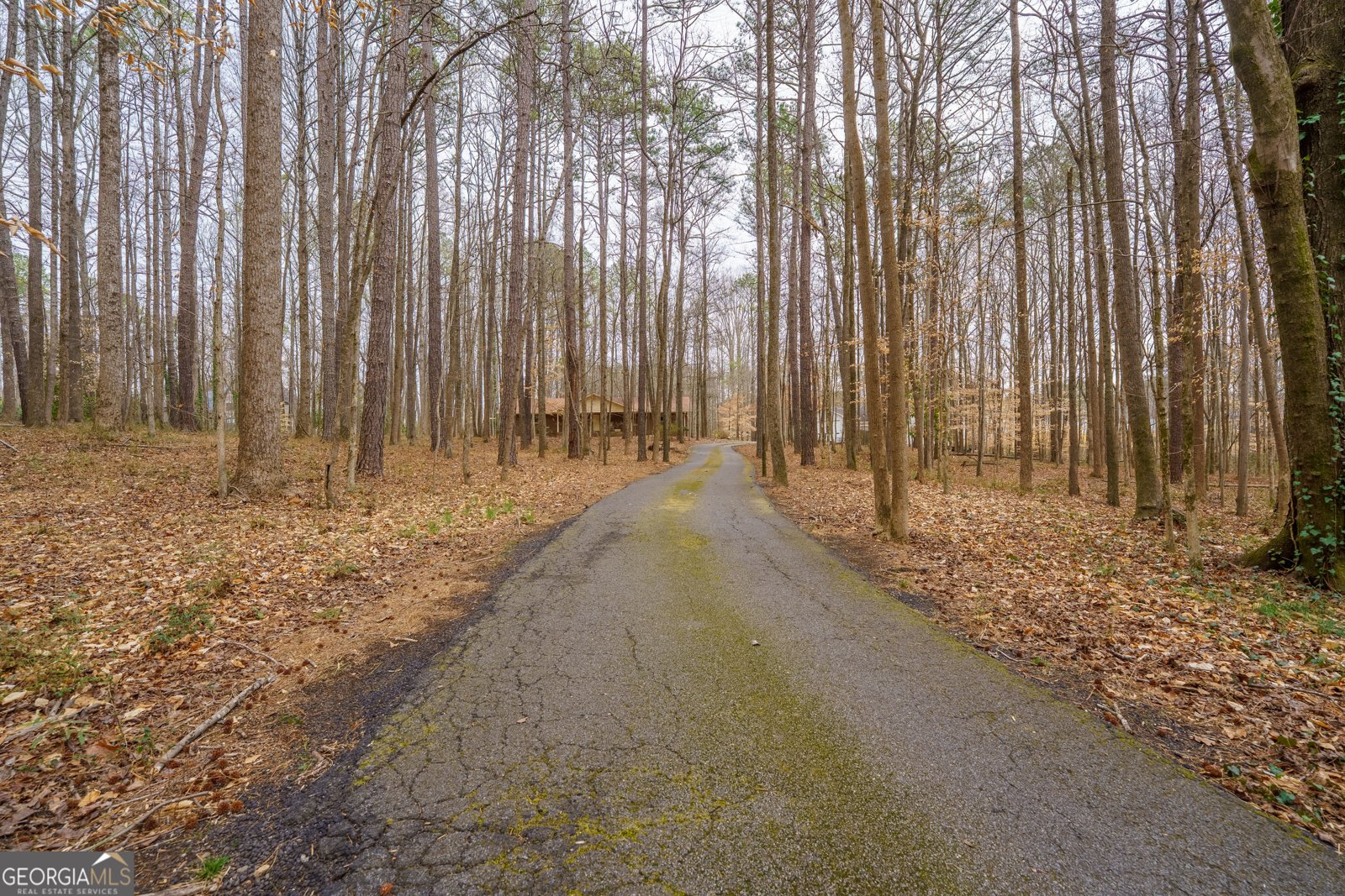 4505 Brookwood Drive Mableton - Photo 47