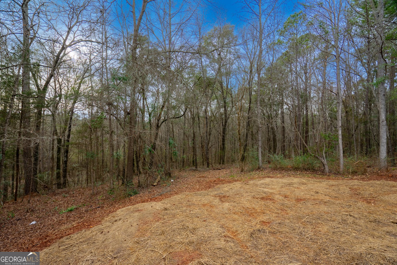 264 Glenn Road Lagrange - Photo 39