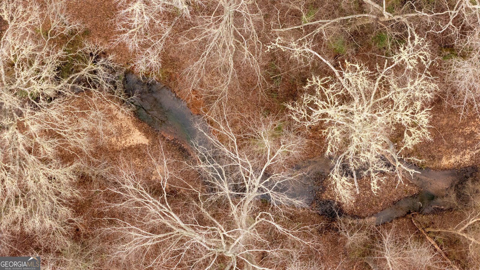 264 Glenn Road Lagrange - Photo 43