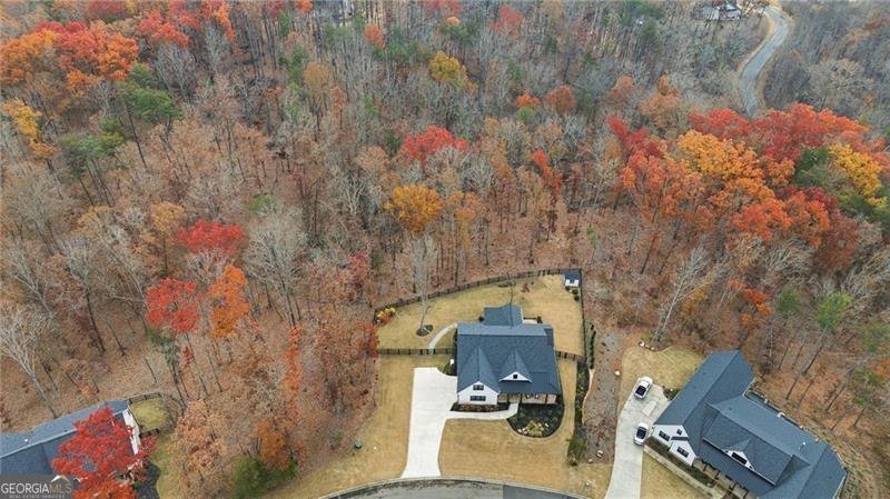 115 Brighton Road Ball Ground - Photo 49