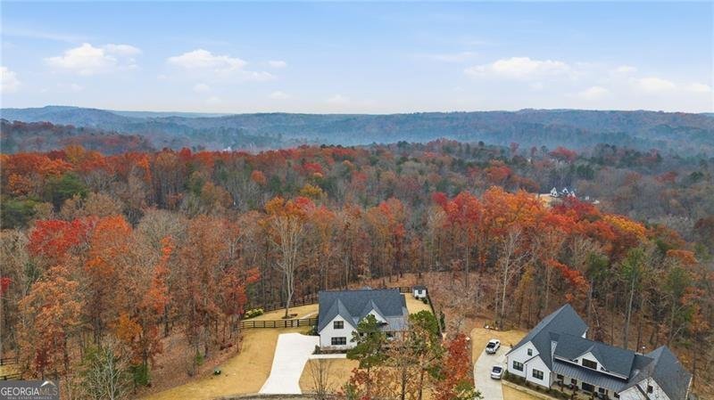 115 Brighton Road Ball Ground - Photo 51