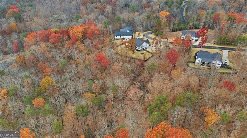 115 Brighton Road Ball Ground - Photo 54