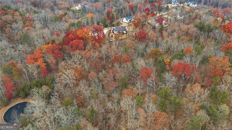 115 Brighton Road Ball Ground - Photo 55