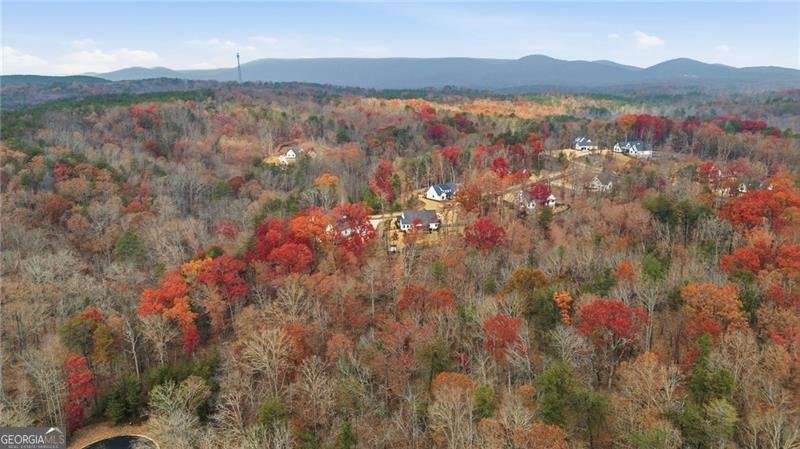 115 Brighton Road Ball Ground - Photo 56