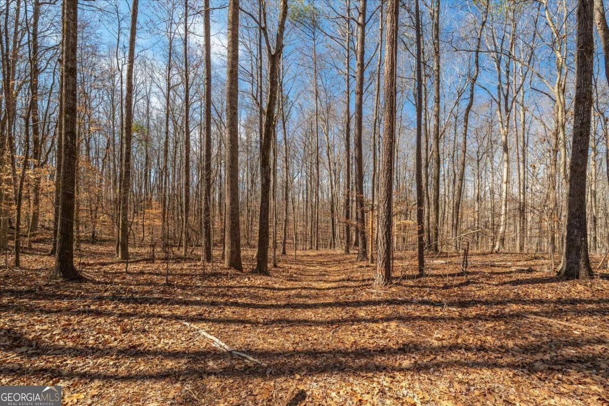 582 Temple Draketown Road Temple - Photo 61