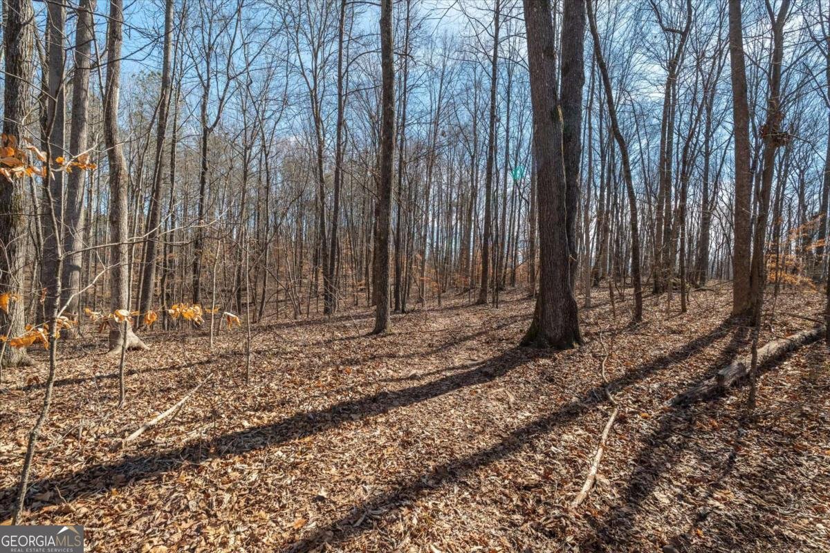 582 Temple Draketown Road Temple - Photo 62